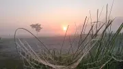 প্রকৃতির কোলে শৈশবের আনন্দ: গুলশান থেকে ফটিকছড়ি