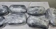 কুরিয়ারে নাড়ু বলে পাঠানো ১৪ কেজি গাঁজা উদ্ধার
