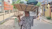 ডালিই আমার ব্যাটা, ডালিই আমার মা-বাপ: সংগ্রামী আনোয়ারা