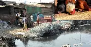 ট্যানারির বিষাক্ত বর্জ্যের ফিডে ক্যানসার ঝুঁকি: স্বাস্থ্যমন্ত্রী