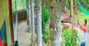 লক্ষ্মীপুরে যুবদল নেতার বাড়িতে ভাঙচুর ও অস্ত্র প্রদর্শন, ছোট ভাই অভিযুক্ত