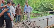 বরিশালে ব্রিজ নির্মাণে রডের বদলে বাঁশের কঞ্চি, ভেঙে দিল প্রশাসন