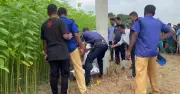 কালুখালীতে হাত-পা বাঁধা অবস্থায় যুবকের লাশ উদ্ধার