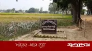 চাঁপাইনবাবগঞ্জ সীমান্তে বিএসএফের পুশইন চেষ্টা ব্যর্থ