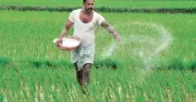 সরকারি ক্রয় কমিটির সভায় ৭০৪ কোটি টাকার সার ও কাঁচামাল আমদানি অনুমোদন