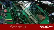 সিদ্ধিরগঞ্জে সিএনজি-প্রাইভেটকার সংঘর্ষে শিশুর মৃত্যু, আহত ৫