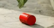 মোহাখালীতে ককটেল বিস্ফোরণ, আটক ৩