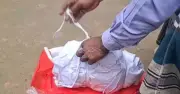রাজবাড়ীতে কাফনের কাপড় ও চিঠি রেখে প্রাণনাশের হুমকি