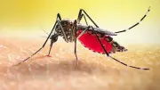 ডেঙ্গুতে আরও ২ জনের মৃত্যু, হামে ৩ শিশুর মৃত্যু; নোয়াখালীতে সড়ক দুর্ঘটনায় ২ কিশোর নিহত