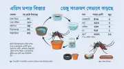 বর্ষার শুরুতেই ডেঙ্গুর প্রকোপ বাড়ার শঙ্কা, ঢাকার বাইরেও আতঙ্ক