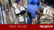 বাড়িতে সিসি ক্যামেরা বসিয়ে মাদক বিক্রি, আখাউড়ায় গ্রেফতার ১