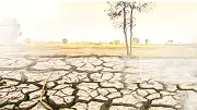 এল নিনোর প্রভাবে তাপমাত্রা বাড়বে, কৃষি ও স্বাস্থ্যের ওপর চাপ