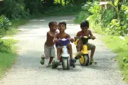 দেশজুড়ে কৃষক ও প্রকৃতির নানা ছবি: আদা থেকে তরমুজ, আমন ধানের বীজতলা