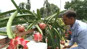 দেশজুড়ে নানা ঘটনার ছবি নিয়ে প্রথম আলোর একঝলক