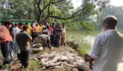 মেহেরপুরে পুকুরে বিষ দিয়ে অর্ধকোটি টাকার মাছ নিধন