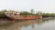 সুন্দরবনের পাশে ফ্লাই অ্যাশবাহী জাহাজ ডুবে যাওয়ার ঝুঁকি