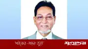 দেশে অর্ধেক সোলার সিস্টেম অকার্যকর, নবায়নযোগ্য জ্বালানিকে সর্বোচ্চ অগ্রাধিকার দিচ্ছে সরকার