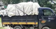 ত্রিশালে সরকারি বই পাচার, মাদ্রাসা সুপার পলাতক
