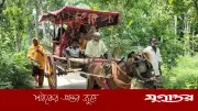 এক যুগ পর নাতি হওয়ায় ঘোড়ার গাড়িতে গ্রাম ভ্রমণ, বিতরণ ৩ হাজার মিষ্টি