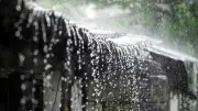 দেশের ৪ বিভাগে ভারী বর্ষণের পূর্বাভাস, স্কুল ফাঁকি দিয়ে নদীতে গিয়ে প্রাণ গেল ২ শিক্ষার্থীর