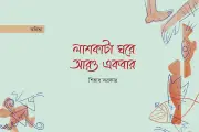হিম ঝরে মধ্যরাতে: নীড়ে ফেরা বাদুড়ের ঝাঁকে শুকতারা ঠিকানা হারায়