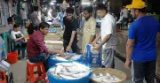 চাঁদপুরের বাজারে ইলিশের দাম কমছে না, সরবরাহে ধস