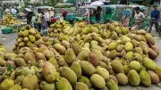 চট্টগ্রামের বাজারে কাঁঠাল ও আনারসের সমারোহ