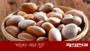 কাঁঠালের বীজে লুকানো পুষ্টিগুণ: স্বাস্থ্যের জন্য অমূল্য