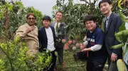জাপানি প্রতিনিধিদলের নওগাঁর আমবাগান পরিদর্শন, রপ্তানির আশা
