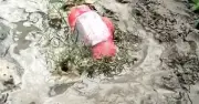 চুয়াডাঙ্গায় ‘জয় বাংলা’ লেখা বোমাসদৃশ বস্তু উদ্ধার