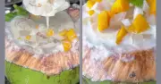 গরমে শরীর ঠান্ডা রাখতে ঘরেই বানান মজাদার জঙ্গল ড্রিঙ্কস