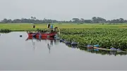 মুরাদনগরে ড্রেজারের দাপটে কমছে তিন ফসলি জমি, কাটছে দরদরিয়া খাল