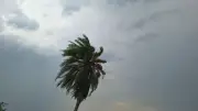 প্রকৃতির নানা রূপ ধরা পড়ল ছবিতে