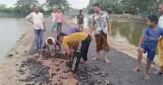 কয়রায় নতুন সড়কের পিচ উঠে যাওয়ায় ক্ষুব্ধ এলাকাবাসী, কাজ বন্ধ