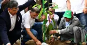 প্রধানমন্ত্রী তারেক রহমানের প্রতি নাগরিকদের অন্তত একটি করে গাছ লাগানোর আহ্বান