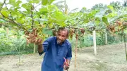 মেঘনায় আইনশৃঙ্খলা স্বাভাবিক রাখতে পুলিশ টহল, ডেঙ্গুতে একজনের মৃত্যু