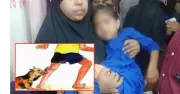 পটুয়াখালীতে পাগলা কুকুরের কামড়ে শিশুসহ ১০ জন আহত