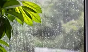 দেশজুড়ে বৃষ্টির সম্ভাবনা, ৫ দিনের পূর্বাভাস দিল আবহাওয়া অফিস