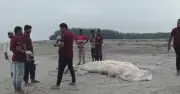 কুয়াকাটায় ৫৮ ফুটের তিমির মৃতদেহ ভেসে এলো, ২৬ দিনের মধ্যে দ্বিতীয়