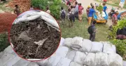সিরাজগঞ্জে ভেজাল সার বিতরণ: তদন্ত কমিটি গঠন