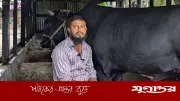 খালেদা জিয়াকে ‘কালো মানিক’ উপহার দিতে চাওয়া সোহাগ গ্রেফতার