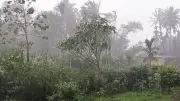 দুপুরের মধ্যে ৯ জেলায় ঝড়-বৃষ্টির সতর্কতা, ব্রাজিলের জয়, হাকিমির বিচার