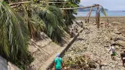 শক্তিশালী ভূমিকম্পে সমুদ্রতল ২ মিটার উঁচু, প্রবাল ধ্বংস