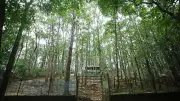 সিলেটের বন্য প্রাণী সংরক্ষণ কেন্দ্রে অবহেলা ও অযত্নের ছাপ