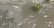 তুরাগ নদে তিন মরদেহ উদ্ধার: গুমের ভয় না ভিত্তিহীন গুজব?