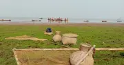 রাজনগরে বজ্রাঘাতে তিন জেলের মৃত্যু