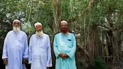 ৫০০ বছর বয়সী বটগাছ রক্ষায় তিনজনের অবদান, পেলেন সম্মাননা