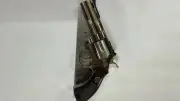 খেলনা পিস্তল উদ্ধার, ক্রেতা সেজে পুলিশের অভিযানে গ্রেপ্তার ৪