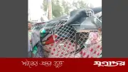কক্সবাজারে বাস-অটোরিকশা সংঘর্ষে নিহত ২, আহত ৪