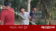 মোবাইল চুরির অভিযোগে দুই কিশোরকে গাছে বেঁধে মারধর, থানায় অভিযোগ